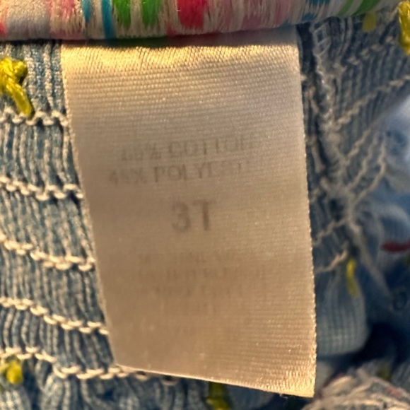 Stitched and Smocked Strawberry Smocked bubble dress 3T. - Picture 2 of 5